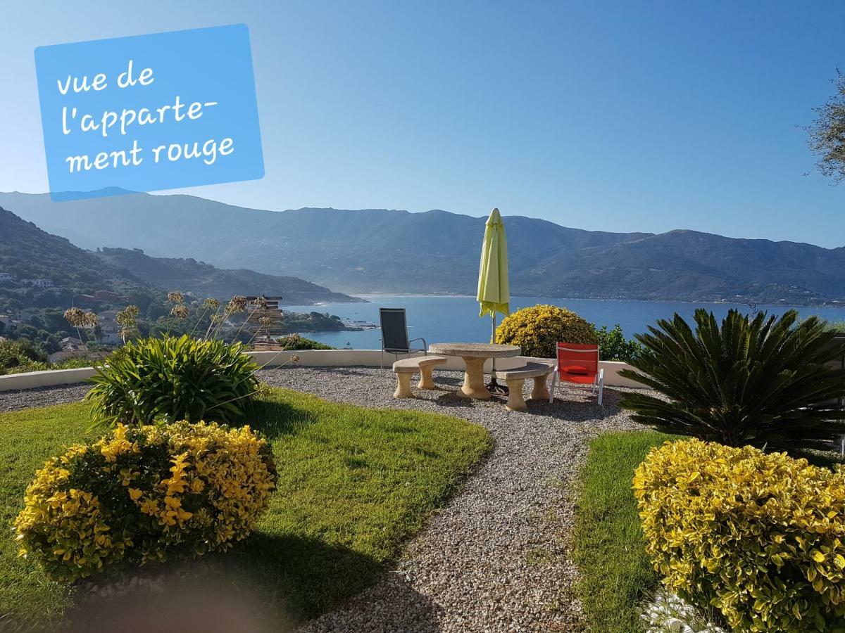 Residence U Melu Grand T3 Jaune A L'Etage Tiuccia Bagian luar foto