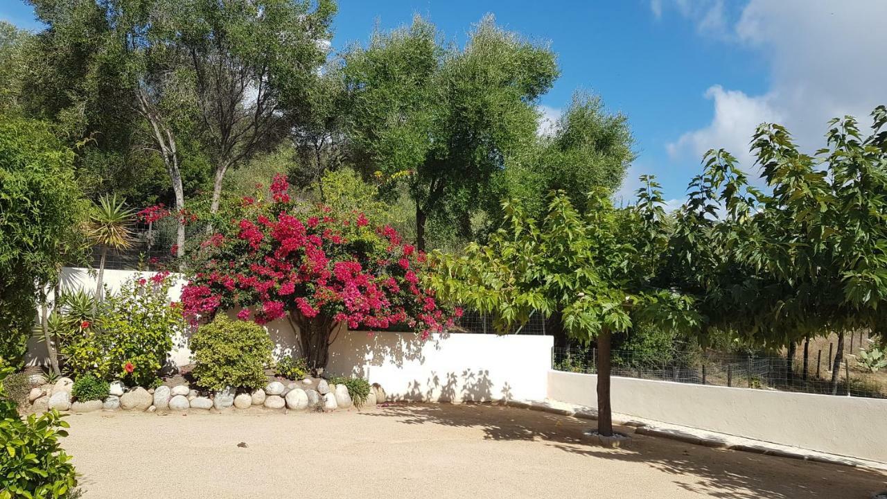 Residence U Melu Grand T3 Jaune A L'Etage Tiuccia Bagian luar foto