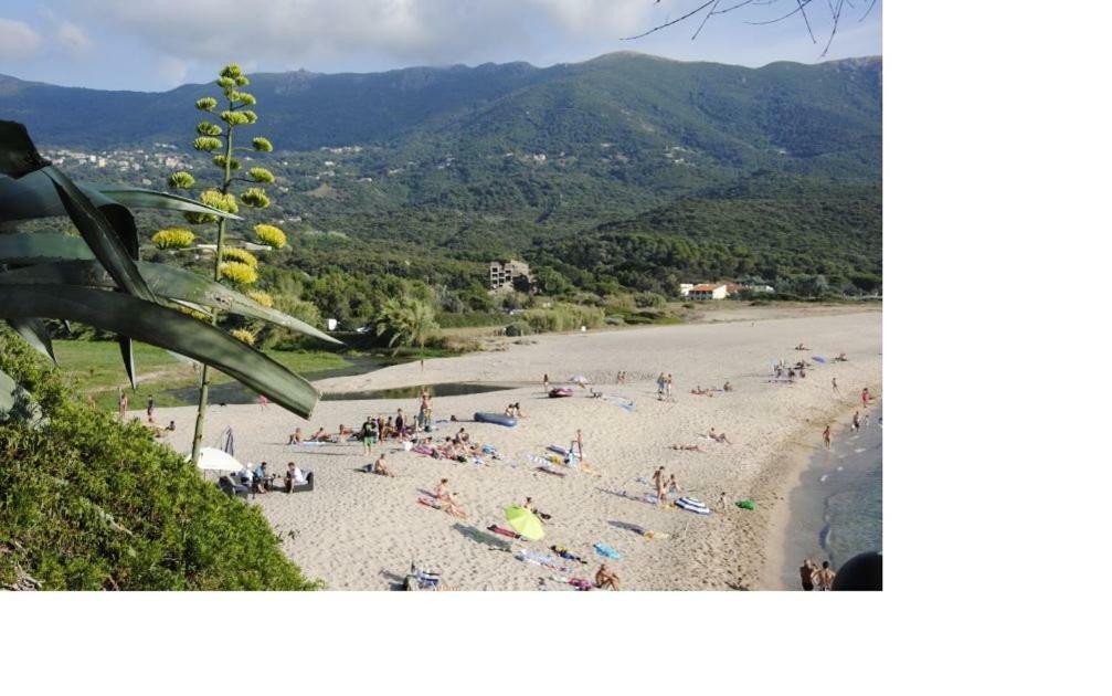 Residence U Melu Grand T3 Jaune A L'Etage Tiuccia Bagian luar foto